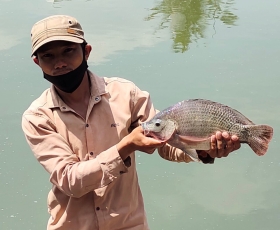 CÂU CÁ NHẬN QUÀ 