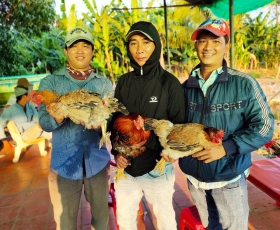 CUỐI TUẦN CÓ NHIỀU CHƯƠNG TRÌNH HẤP DẪN 