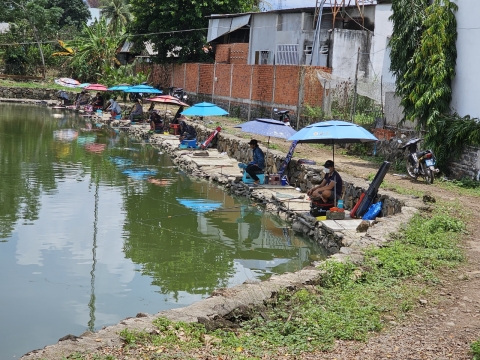 HỒ CÂU GIẢI TRÍ CÁ CON sau 4 năm