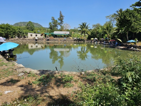 12H Trưa 
