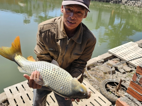 Cũng được rồi 