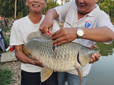 Ngon lành rồi ae ơi 