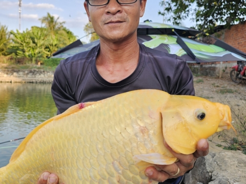 CÁC CẦN THỦ LUÔÊ LÊN TẤT CẢ