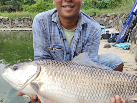 A đã bắt được e 