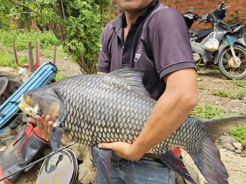 Câu cá biên hòa