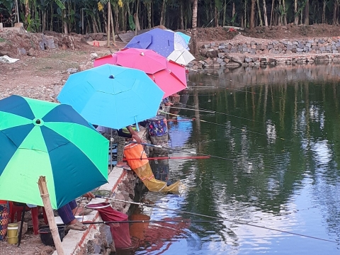 Câu cá thực chất là môn thể thao dìm chết con trùn !