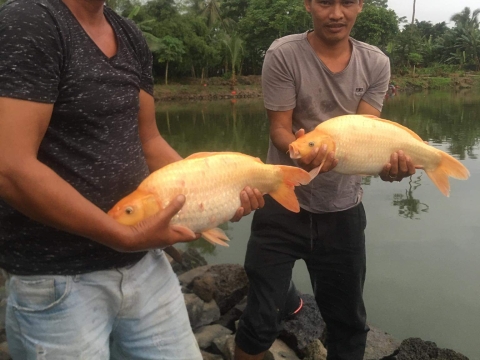 THÀNH QUẢ CỦA CẦN THỦ THÁNG 05.2021