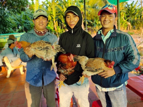 CÁ BẦU MUỐN BIẾT SAO TA? MỔ RA THẤY TRỨNG, CHẾT CHA... MUỘN GOY.....06-06-2021
