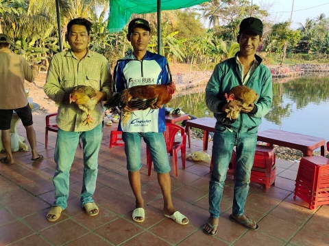 CÁ BẦU MUỐN BIẾT SAO TA? MỔ RA THẤY TRỨNG, CHẾT CHA... MUỘN GOY.....06-06-2021