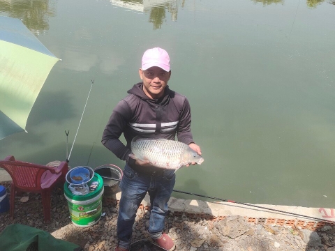 CÁ BẦU MUỐN BIẾT SAO TA? MỔ RA THẤY TRỨNG, CHẾT CHA... MUỘN GOY.....06-06-2021