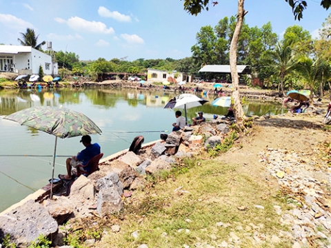 Câu cá thực chất là môn thể thao dìm chết con trùn !