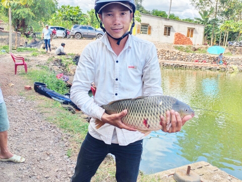 Câu cá thực chất là môn thể thao dìm chết con trùn !