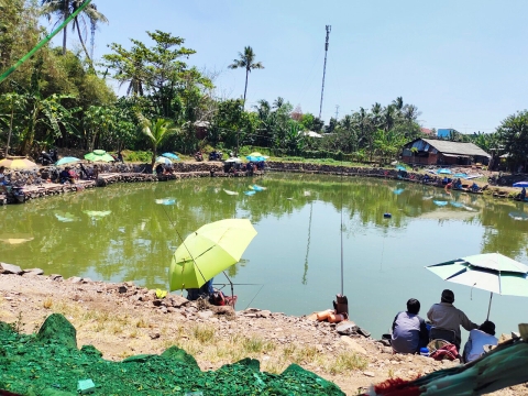 HỒ CÂU CÁ CON