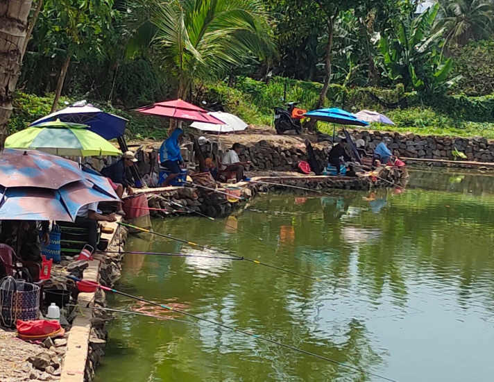 Hồ câu cá giải trí 